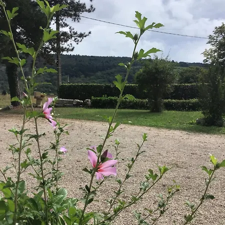 Bed & Breakfast D Lucye Treffort (Ain)
