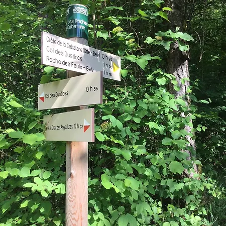 Nocleg ze śniadaniem D Lucye *